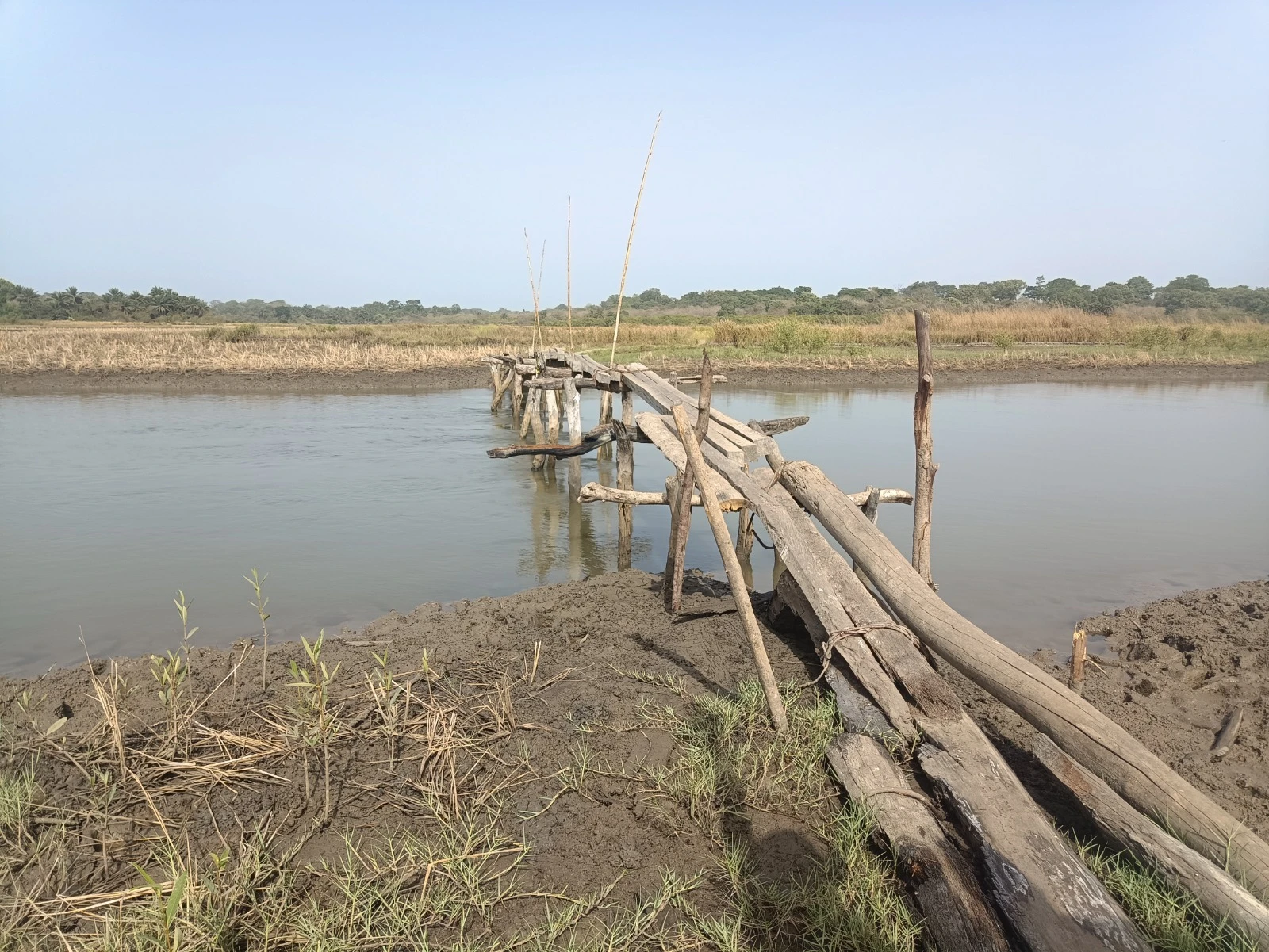 Estructura del puente sobre el río